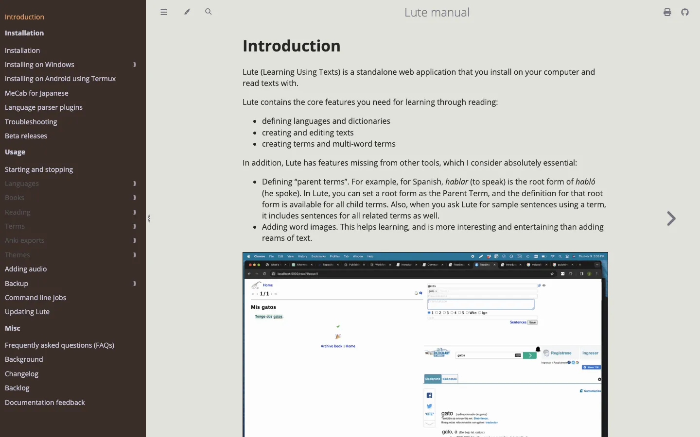 The Lute manual, describing a self-hosted web application for reading in a foreign language and building terms as you go.
